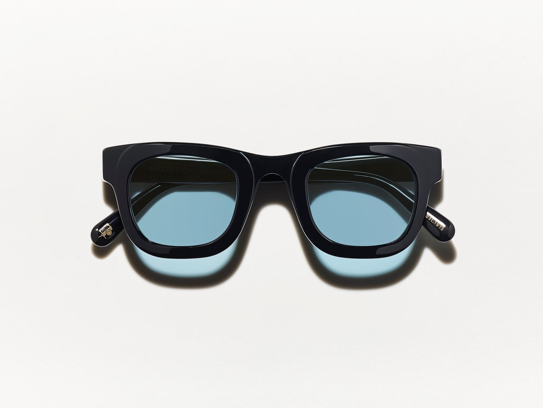 The FRITZ SUN in Black with DG-37 Blue Lenses