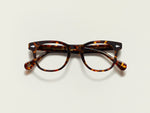 Das GELT in Tortoise