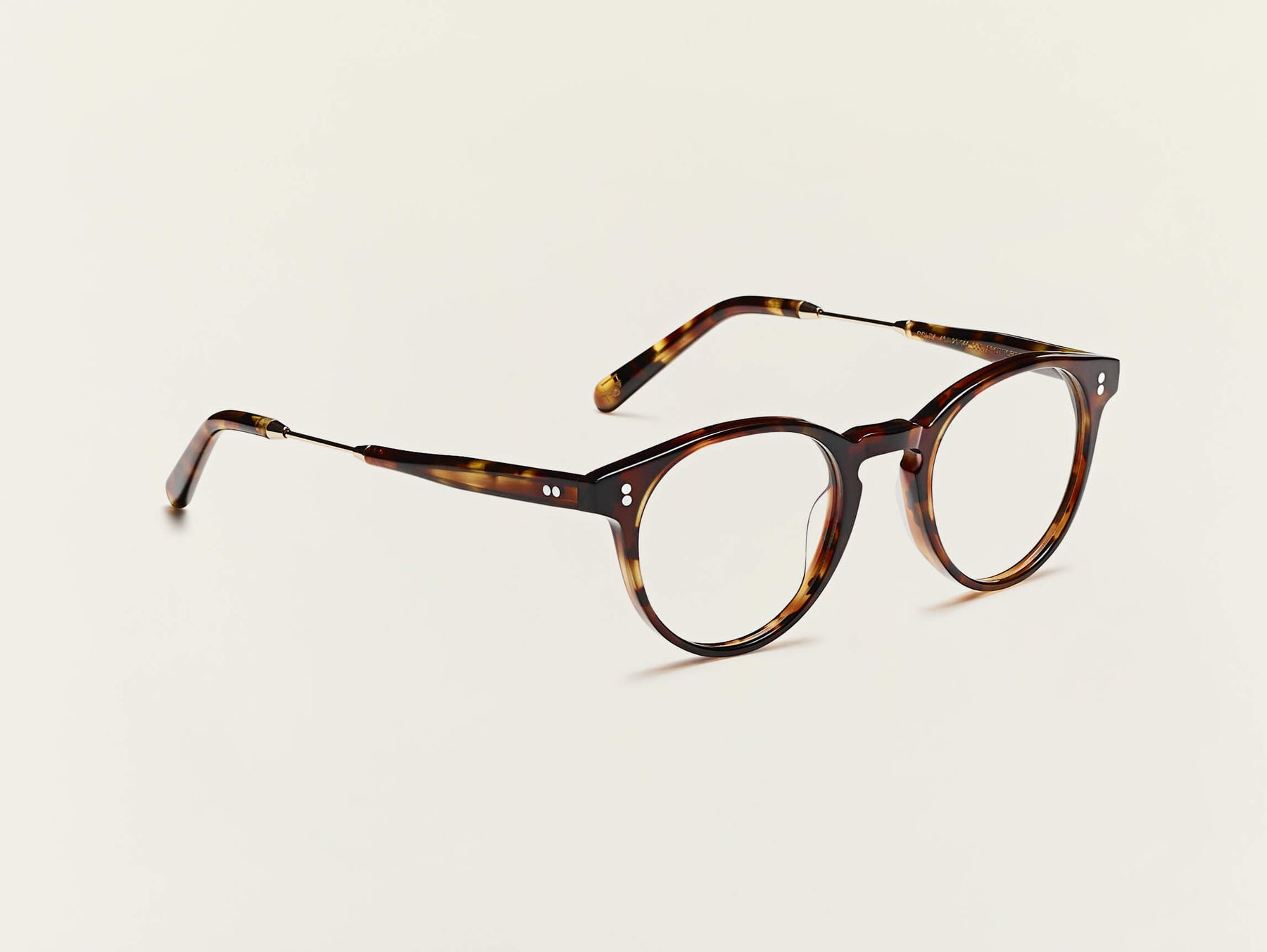 The GOLDA in Spot Tortoise