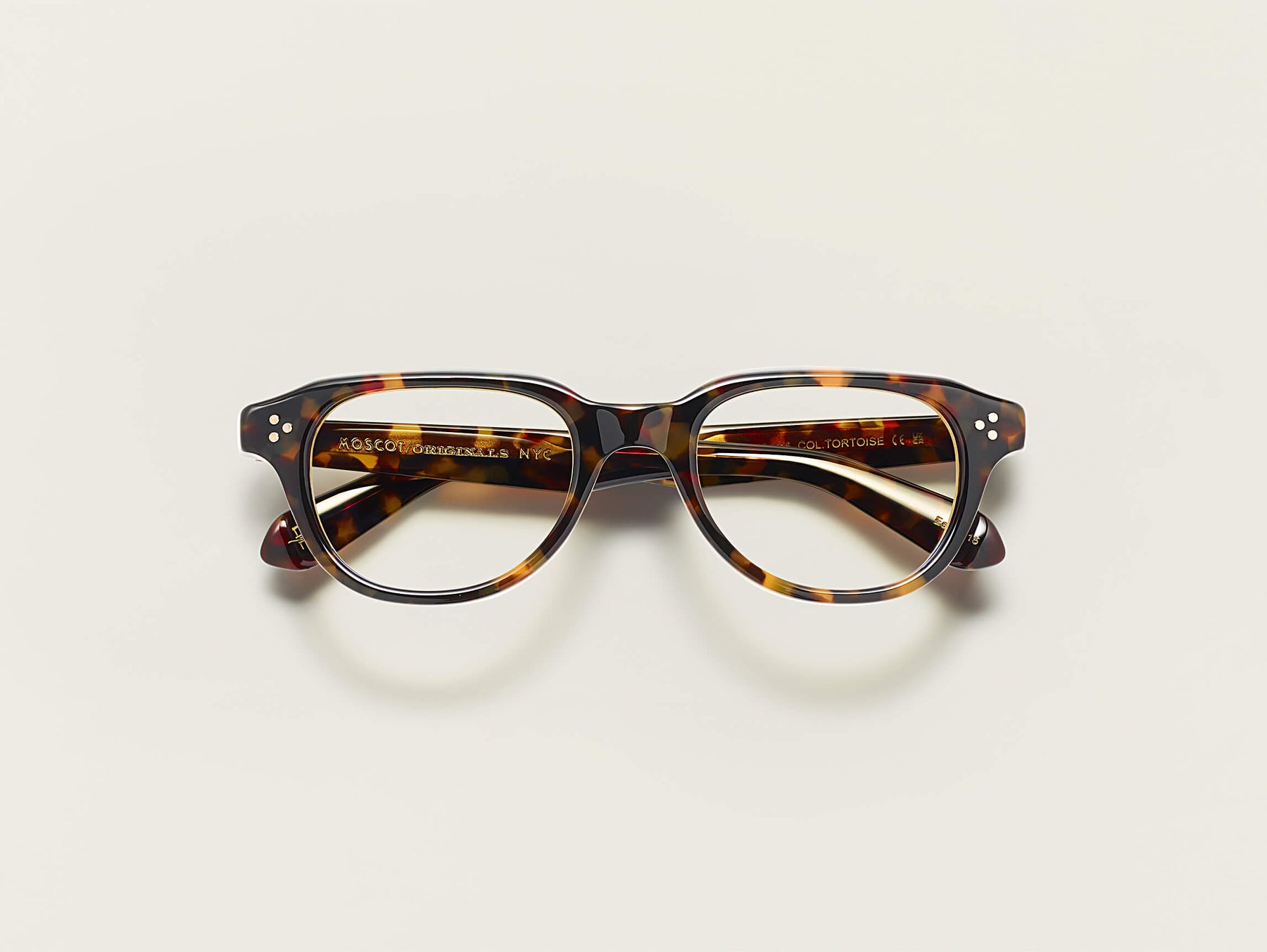 The GOOLAH in Tortoise