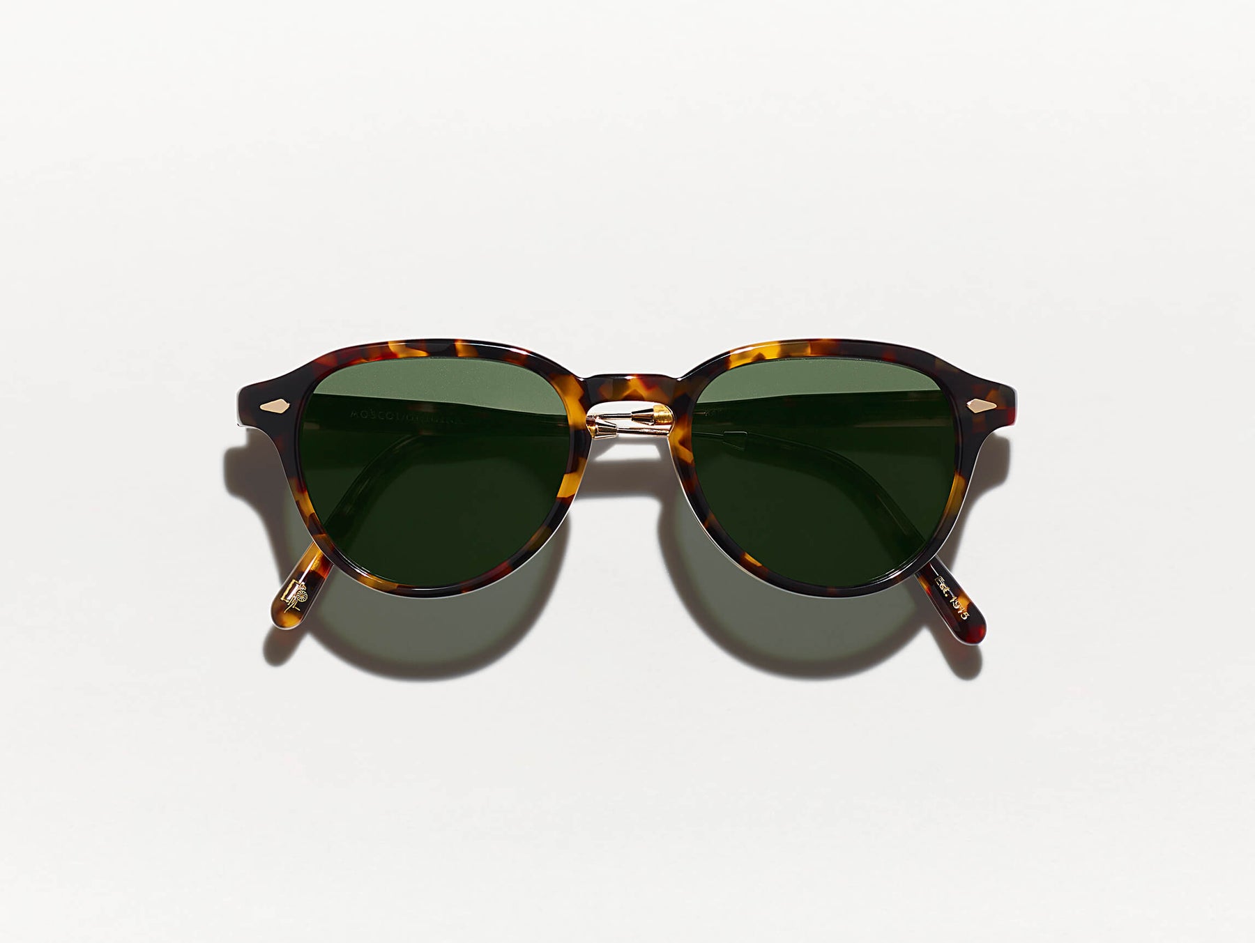 The KASH SUN in Tortoise/Gold with G-15 Glass Lenses