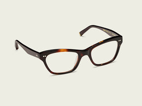 #color_tortoise/black 