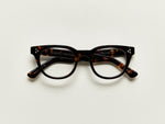 Die VILDA in Tortoise