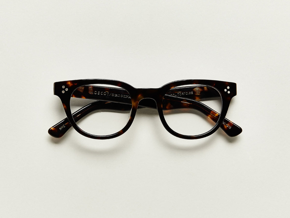 Die VILDA in Tortoise