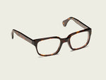 Der ZELIG in Tortoise